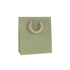 Geschenktüte natron-grün, klein