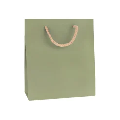 Geschenktüte natron-grün, mittel
