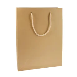 Geschenktüte natron, groß
