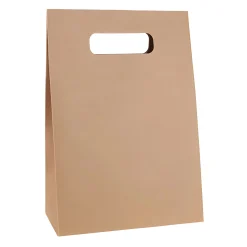 Geschenktüte natur, groß