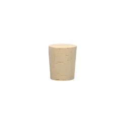 Spitzkorken 16/19 x 22 mm